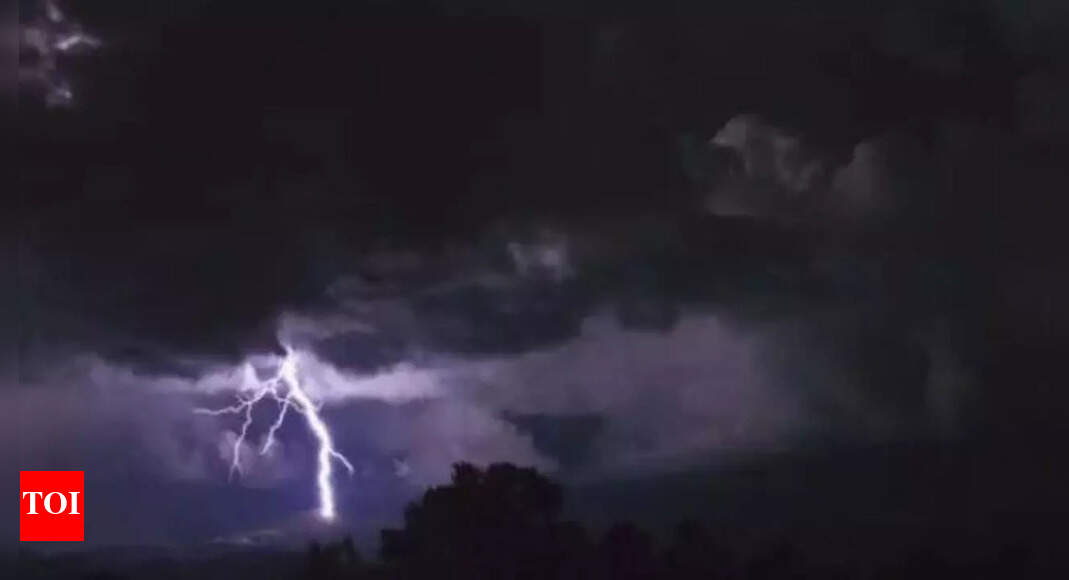 Five killed, one injured due to lightning in Madhya Pradesh | Bhopal News - Vimarsana News