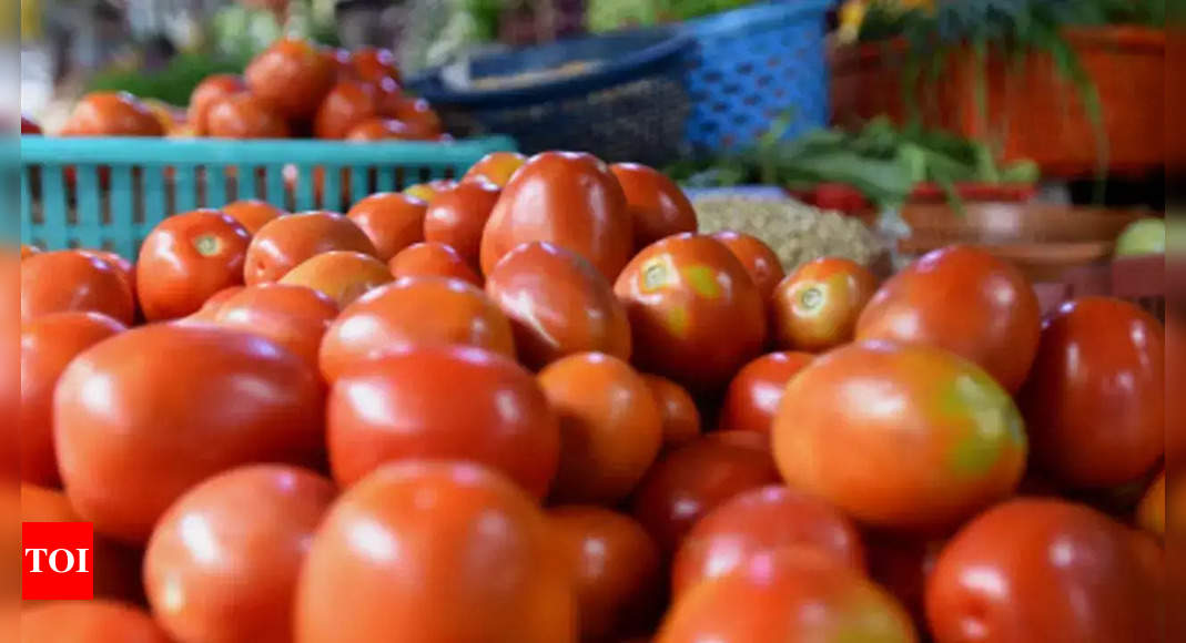 High tomato, pulses prices increase average cost of Indian thali in June: Report – Times of India