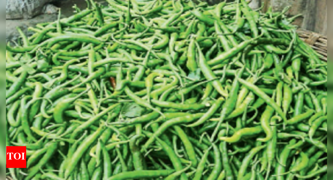 Chilli Green chilli prices surge to Rs 130 a kilo in Bengaluru's