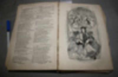 170-yr-old book on Shakespeare could fetch 1cr