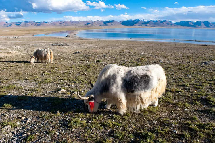 Namtso Lake