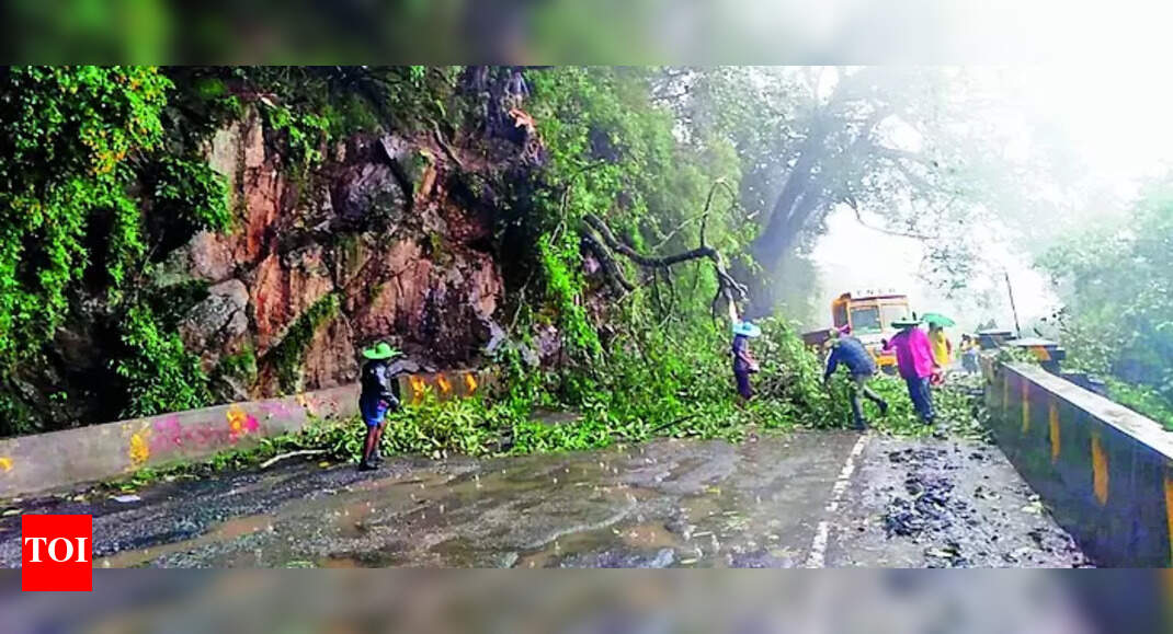 Officials Remove 15 Trees On Ooty-gudalur Nh Road To Ensure Safety Of Motorists | Coimbatore News - Vimarsana News