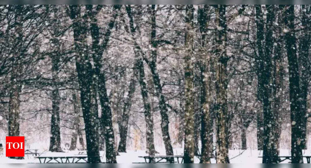 Photo inspiration: Picture Idea: Optical Illusion Only Those With Brilliant Vision Can Spot The