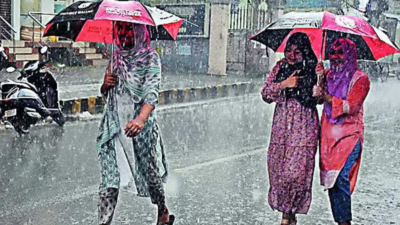 Fairly widespread rainfall in Bihar from tomorrow: Met