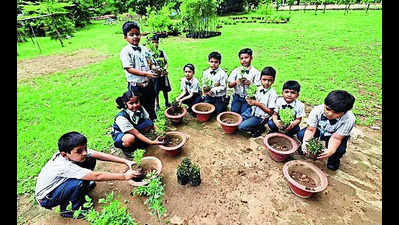 Schools mark Van Mahotsav to spread environmental awareness
