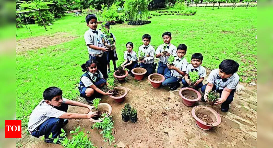 Van Mahotsav: Schools Mark Van Mahotsav To Spread Environmental Awareness | Ranchi News - Vimarsana News