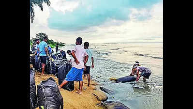 ‘IIT-G roped in to save Dibrugarh from river erosion’