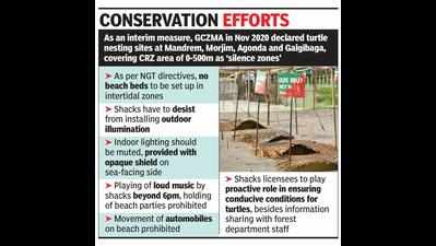 Turtle nesting, habitat management plan for Goa gets nod, prior measures tweaked