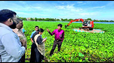 Ahead of monsoon, corporation speeds up removal of hyacinth