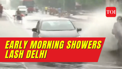 Monsoon deluge: After wettest July day in 20 years, early morning showers lash Delhi, IMD predicts more rains