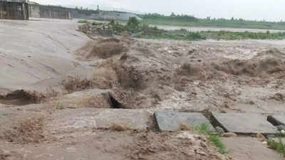 Water flow in rivers increases to nearly full capacity, fields submerged in heavy rainfall in northern Haryana districts