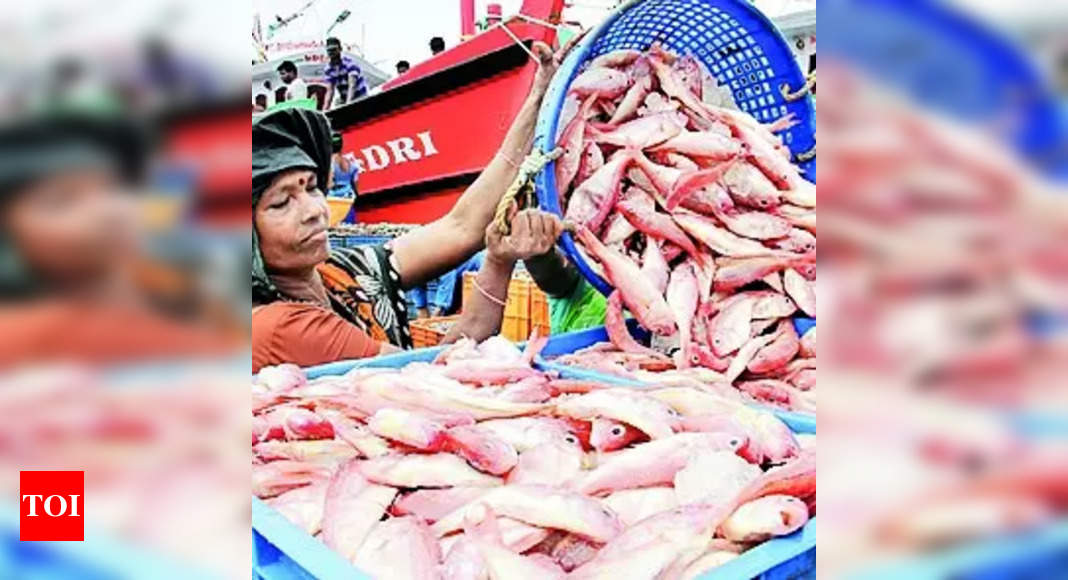 gujarat-gujarat-leads-in-marine-fish-production-in-india-govt