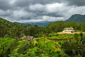 Budget farmstays in Western Ghats you’d fall in love with