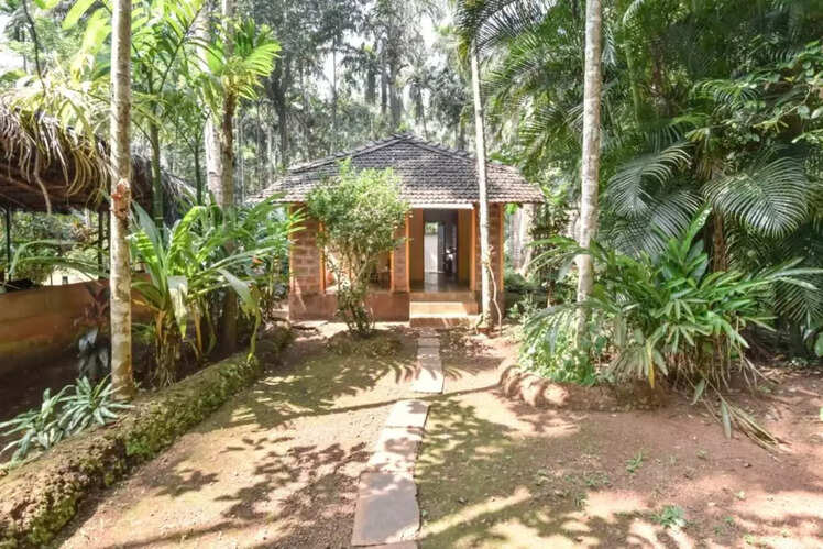 Dudhsagar Plantation and Farmstay in Goa