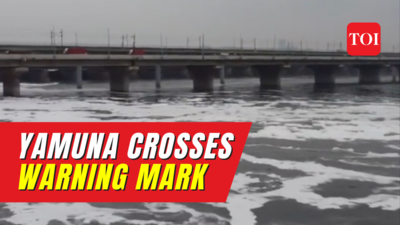 Yamuna river in Delhi crosses warning mark, raising concerns