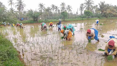 Only 13% kharif work done, farmers face re-sowing possibility