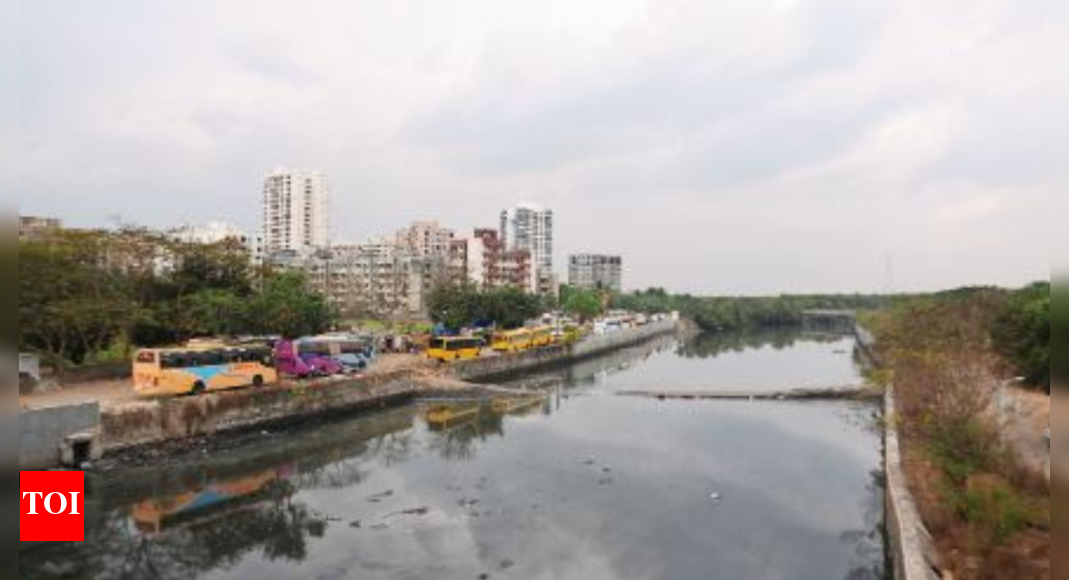 Mumbai Bridge to be built over Dahisar river; relief for housing