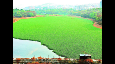 Katraj Lake capacity increases by 1cr litre as PMC takes up desilting