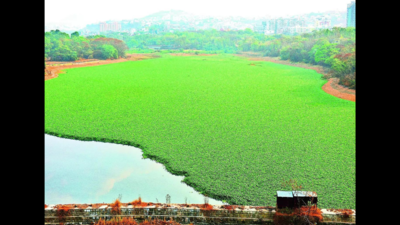 Pmc: Katraj Lake Capacity Increases By 1cr Litre As Pmc Takes Up ...