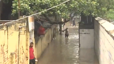 Watch: People wade through knee-deep water in Delhi's Yamuna Bazar