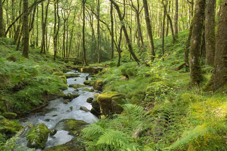Moor Brook, England