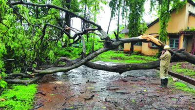 Monsoon fury 2023: Climate change makes extreme events new normal