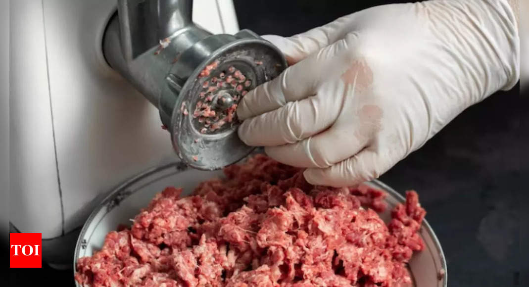 Meat Grinder Machines to Make Your Grinding Work Easier and Faster - Times  of India (January, 2024)