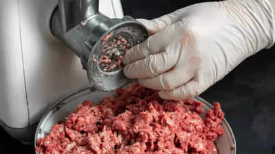 Manual Meat Grinder : Hand Meat Grinder - My Kitchen Gadgets