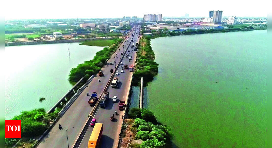 Retteri Retteri Lake To Be Desilted, Cleared Of Encroachers Chennai