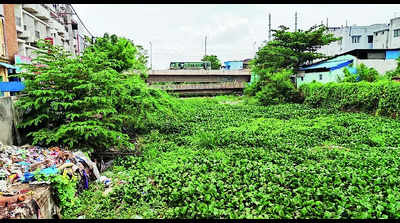 More fencing on Uyyakondan canal to prevent pollution