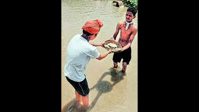 Punjab fields under water, taps dry, power out; fight’s on