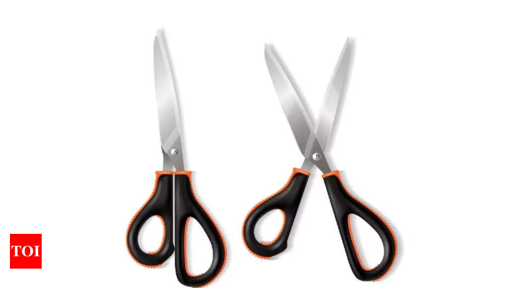 Kitchen Scissors Multi Purpose Scissors Chicken Scissors - China Scissors,  Scissors Set