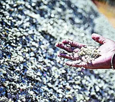 Govt clears way for private sector entry in mining of lithium, other critical minerals