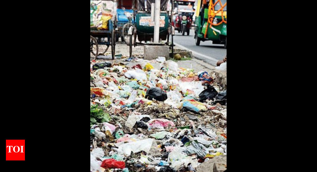 Use Paper Bags To Protectenvironment Bspcb Patna News Times of India