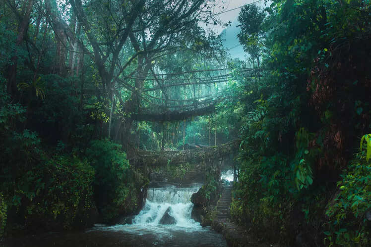 Meghalaya