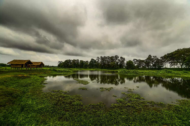 Assam