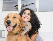 The right way to pet a dog - Times of India