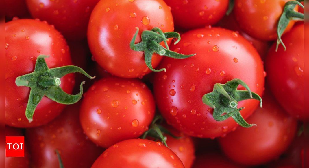 Nepal tomatoes seized in UP, go missing, consignment caught again ...