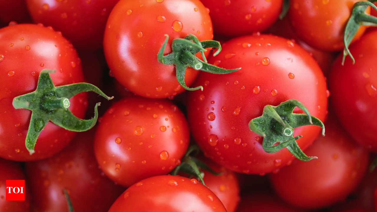 Tomatoes: Nutrition Facts, Benefits, and Research - Nutrition Advance