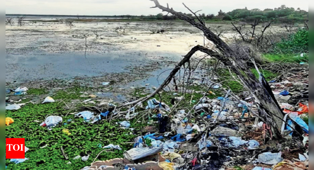 Neglected & polluted: Gandipet lake turns garbage dumping site ...