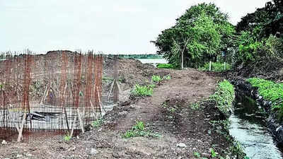 Corpn To Restore Pristine Glory Of Singanallur Lake Coimbatore News