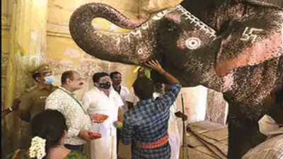Meenakshi Amman Temple elephant Parvathi is well taken care of: PTR
