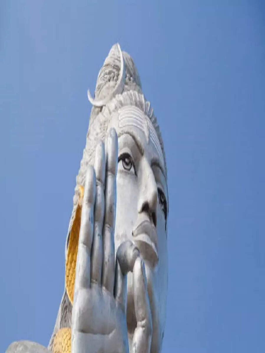 Sawan 2023 Offerings to Lord Shiva Based on Your Zodiac Sign Times Now