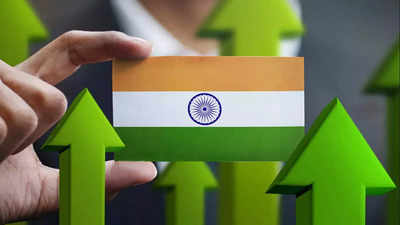 India poised for secular growth this decade on remarkable expansion in asset investment: Capital Group
