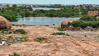 Encroachments, debris shrink Ameenpur lake