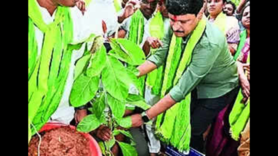 1k saplings planted in sixth phase GIC