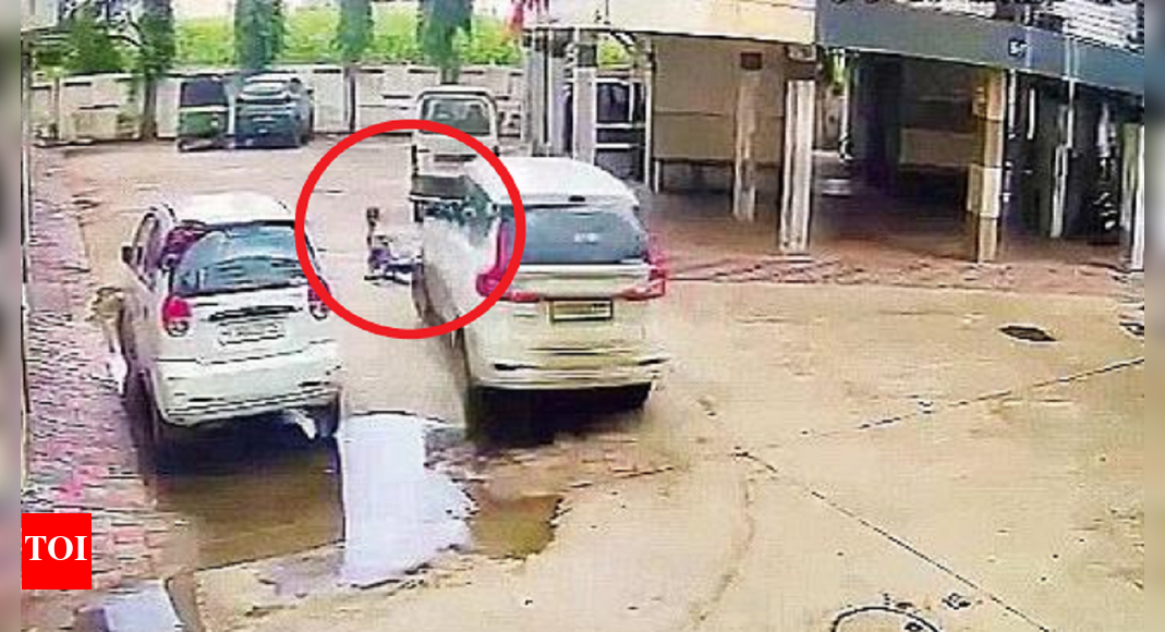 Toddler Dies After Being Run Over By Car In Umra | Surat News - The ...