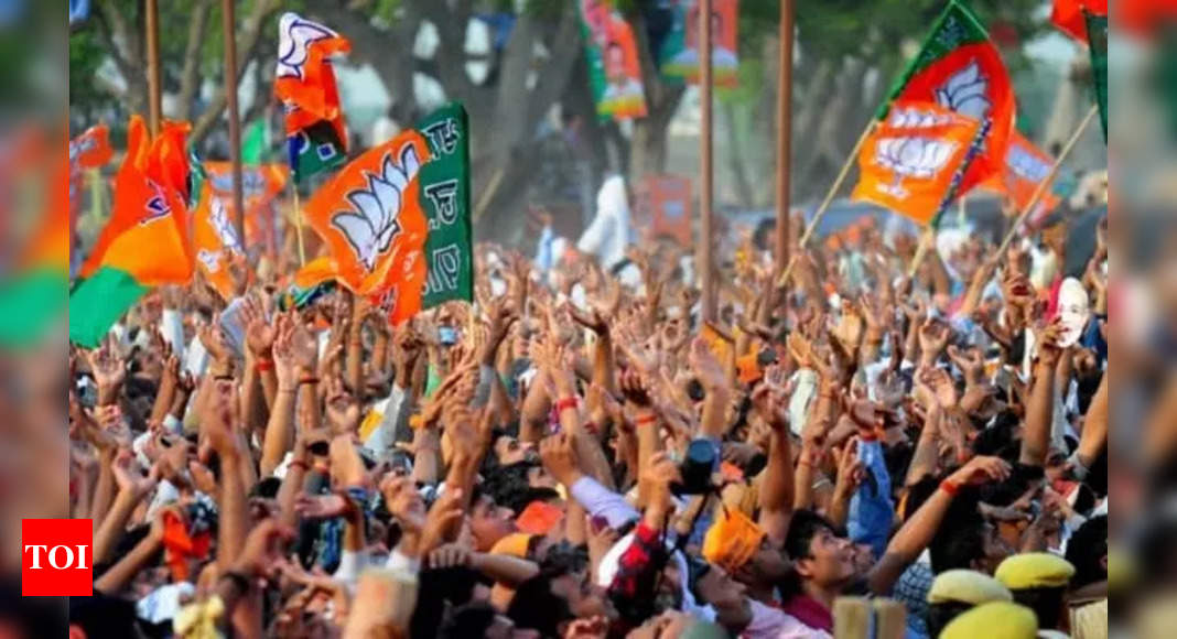Eyeing 350 seats in 2024 Lok Sabha polls, BJP gets into micro