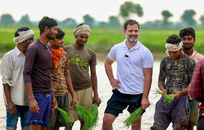 Farmers are India's strength: Rahul Gandhi