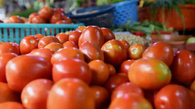 Govt-owned coops reduce tomato price by Rs 10 to 80/kg
